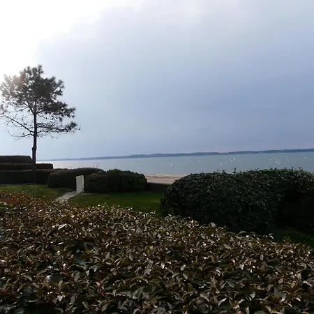 Pereire Bord De Arcachon