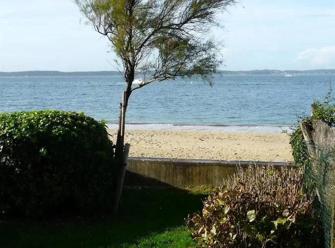 Pereire Bord De Arcachon