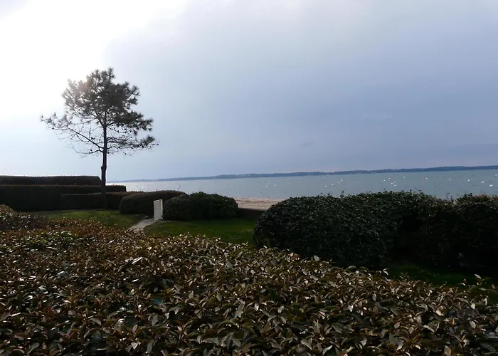 Pereire Bord De Arcachon